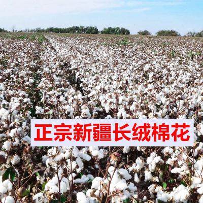 极速6斤新疆长绒棉被手工纯棉花被子加厚保暖冬被V芯棉絮床垫褥子,床上用品,棉花被,淘宝优惠券,粉丝福利购,淘宝优惠卷