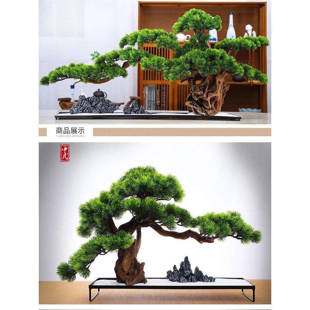 酒店大堂装饰造型美人迎客松微景观摆件植物盆景桌面玄关