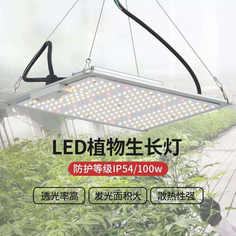 led植物灯工业大棚量子板植物生长灯100wLED植物补光灯