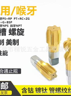 进口管螺纹丝锥PF G BSP NPS NPT PS RC RP1/4 1/8 喉牙螺旋丝攻