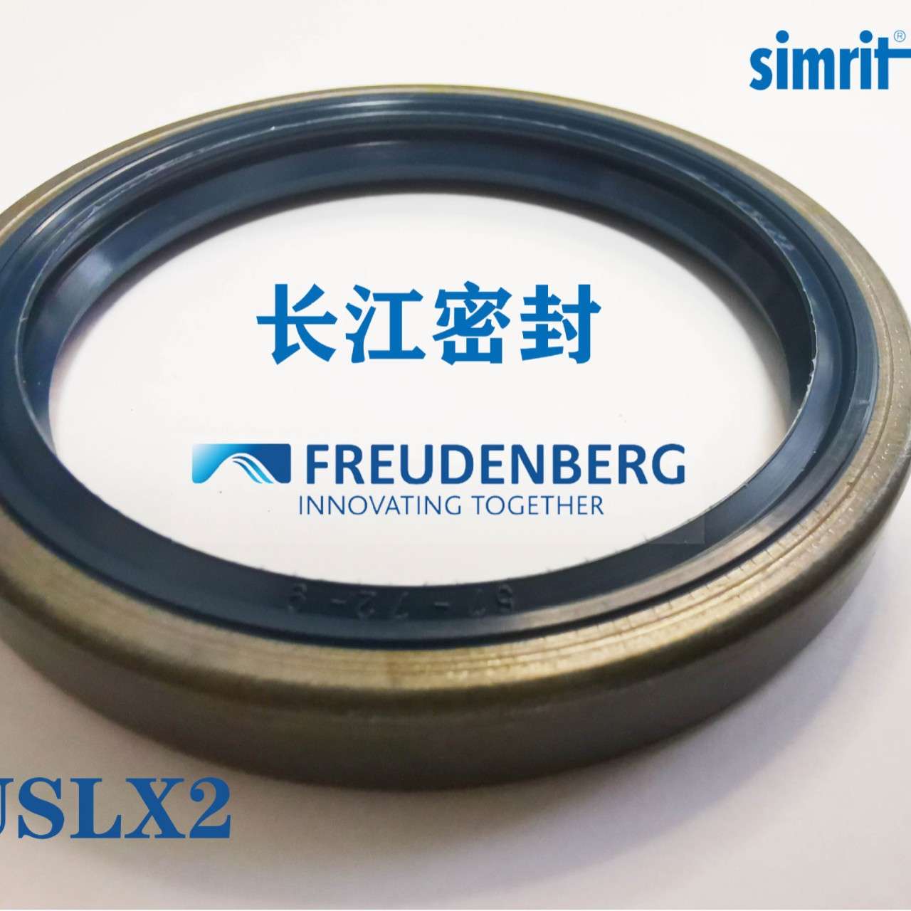 B1FUDSL 65-80-8 6-16-7  德国SIMRIT cfw进口骨架油封 外铁壳