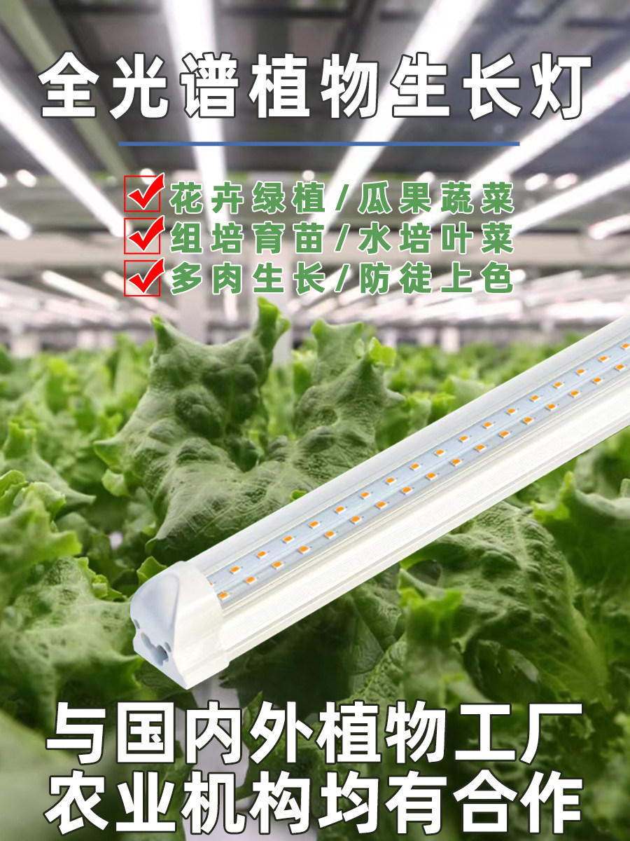未来植物补光灯全光谱植物生长灯水培叶蔬菜组培育苗绿植花卉草莓