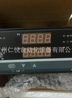 HR-WP-XD821-000-19/19-A虹润双路数显表温控仪温控器压力仪表D80
