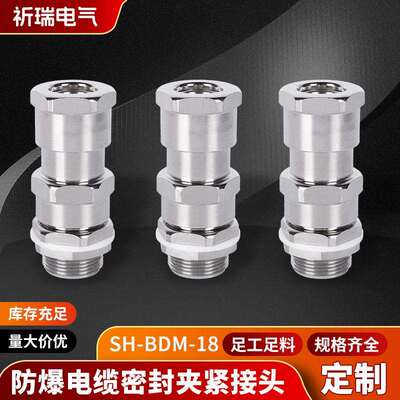 防爆格兰头SH-BDM-18双密封非铠装金属接头防爆填料函防水接头