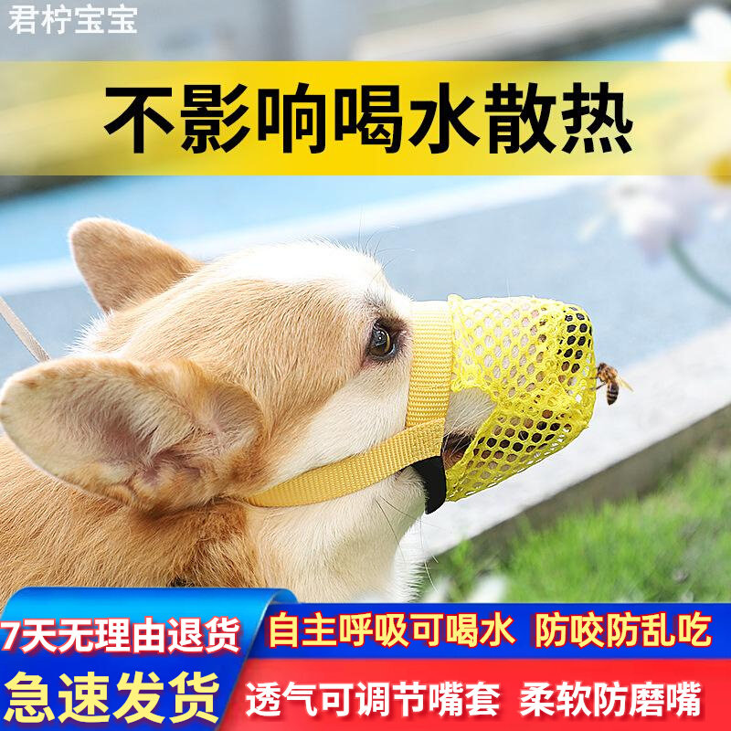 狗口罩比熊专用狗狗嘴套防咬叫防乱吃泰迪柯基嘴巴罩犬口罩止吠器
