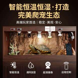 睫角守宫专用爬宠箱室内家用智能温控蜥蜴饲养箱大号恒温箱饲养缸
