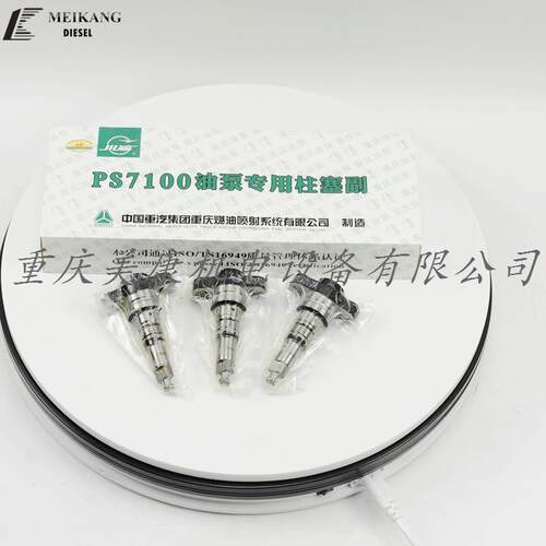中国重汽 PS7100用柱塞副偶件 x171-010B 厂家与零售