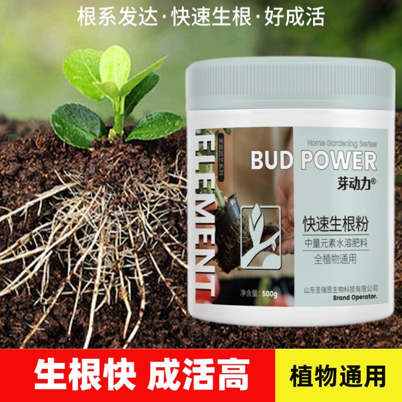 快速强效生根粉植物扦插移栽通用