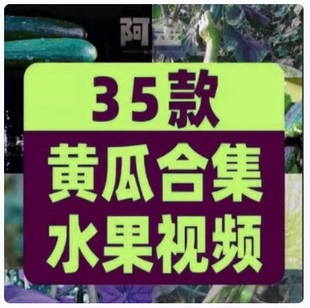 黄瓜合集有机水果片大棚种植采摘农业绿色小视频高清实拍素材剪辑