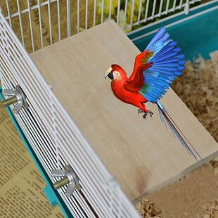 Practical Wood Suppliesl Parrot Home Cage Hanging 极速Pet