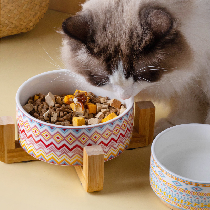 极速猫碗狗碗g陶瓷黑色水碗饭碗猫咪狗盆狗狗食盆水盆宠物喝水防