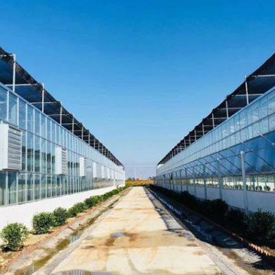 极速新品玻璃温室大棚骨架s 钢管 农业菜棚钢架蔬菜大棚温X室大棚,农机/农具/农膜,大棚钢管,淘宝优惠券,粉丝福利购,淘宝优惠卷