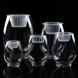 极速玻璃水培植物花瓶 铜钱草绿萝红掌 恐K龙蛋富贵竹水养鱼缸器