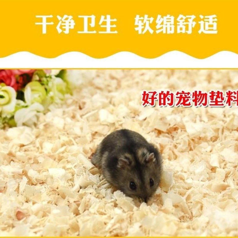 极速仓鼠木屑除臭垫料锯末鸟类龙猫荷兰猪兔子宠物杨Y木刨花5斤包