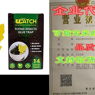 极速UCatch Sticky Fly Trap - Bug WEhite Flies Flying Insects