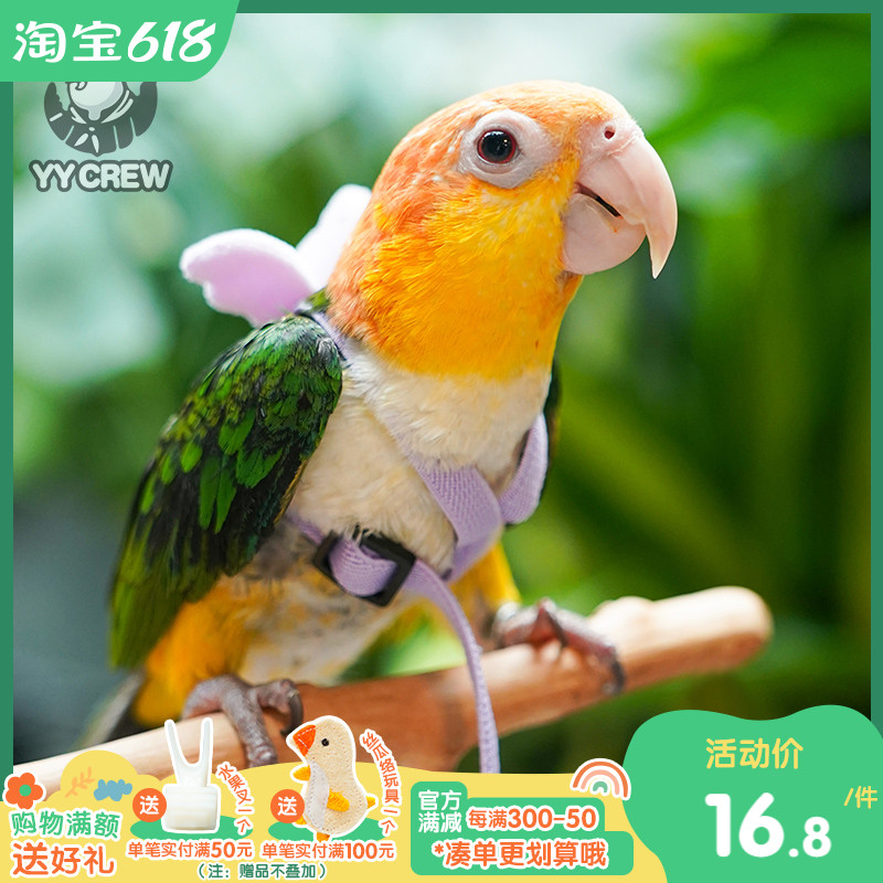 极速鹦鹦队 鹦鹉放飞p绳外出背带飞行牵引绳遛鸟用品虎皮玄凤外出