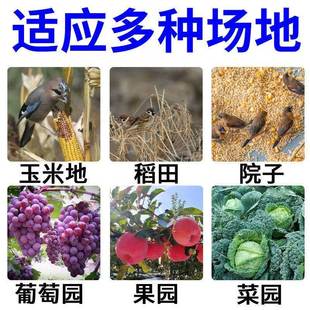 极速驱鸟剂驱鸟药户外农田庄稼A菜园果园专用赶鸟驱鸟神器安全无