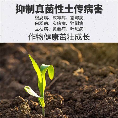 极速枯草芽c孢菌杆菌农用哈茨木霉菌黄腐酸钾微生物菌剂甲亢素水,农用物资,生物菌肥,淘宝优惠券,粉丝福利购,淘宝优惠卷