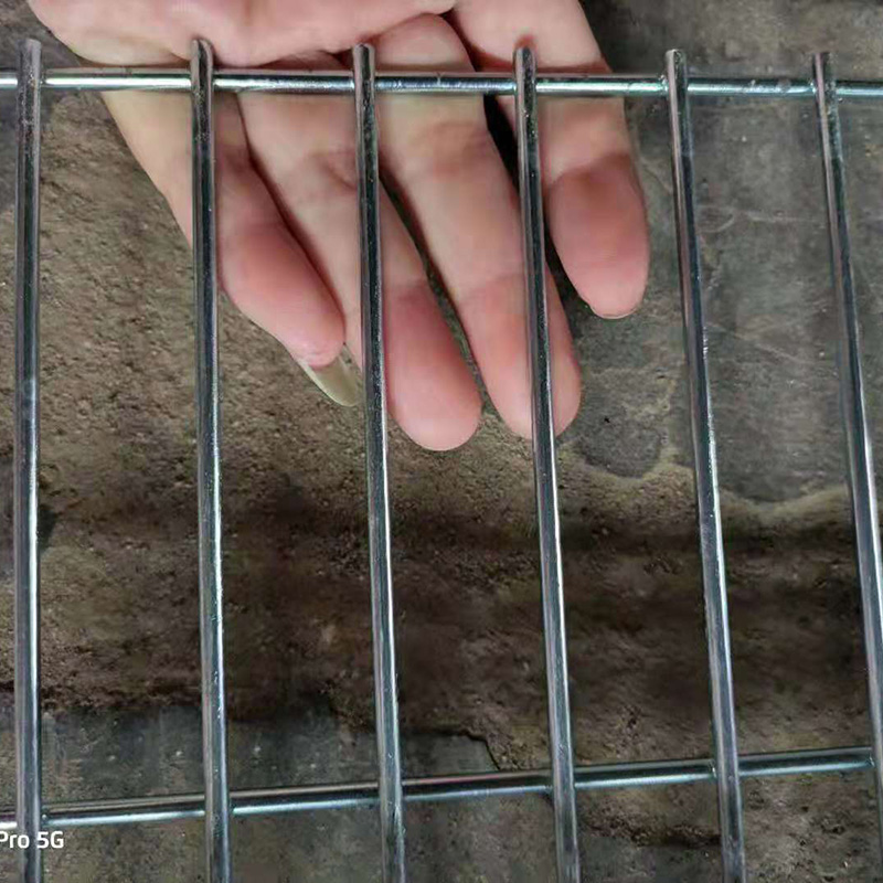 极速新品镀c锌铁丝e网围栏铁网网格网片小孔加粗防护网电焊养殖网