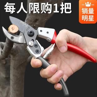 花剪园林园艺大剪刀修枝剪树枝剪刀剪子果树摘菜茶叶水果神器省力