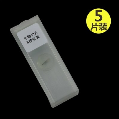 极速生物显微镜标本切片套t装动物植物细胞观察载玻片儿童学生科