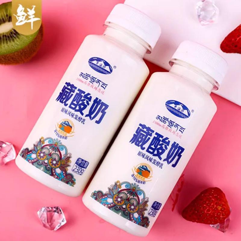 新品15%牦牛藏酸奶230g*16瓶低温酸奶原味发酵乳青海特产老