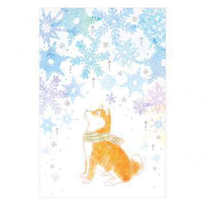 极速猫的天空之城烫金明信片柴犬动物摄影插画可爱萨Y摩金毛狗狗