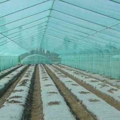 极速厂销新品薄膜黑色地膜中膜加厚膜无滴塑料白S色膜农O用大棚透