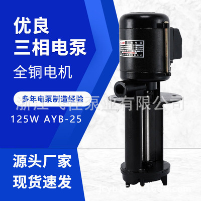 飞佳机床油泵厂家直供AYB-25 125W三相冷却水泵磨床电泵