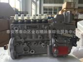 1111010 673 0000TW 供应喷油泵总成 喷油泵订货号 6P1245E