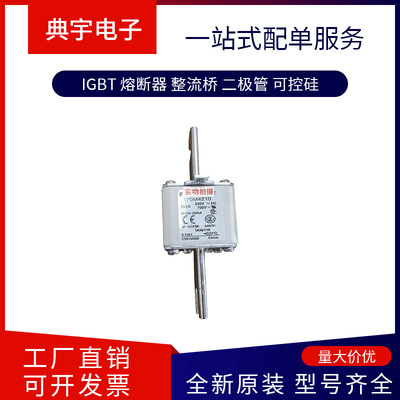 熔断器170M4213 4214 4215 4216 4217 4218 4219 4238型号齐全