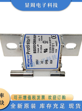 全新保险丝熔断器BS000GB69V80P E330123 BS000GB69V100P F330124