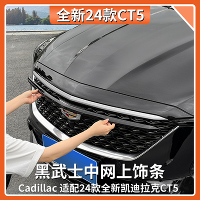 速发适用于2改款CT5改武铂金中网饰条黑化4装黑装士配件用品