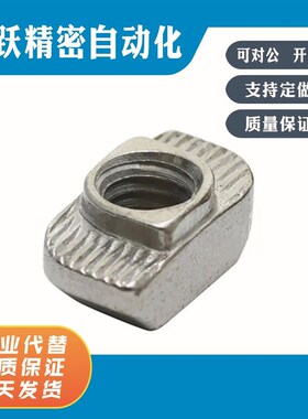 LNTN6-20 8-30 8-40 10-45-3 4 5 6 8-100P T型螺母