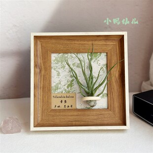 ins空气凤梨套餐磁吸现代装饰画框复古桌面挂墙原木白边相框5寸