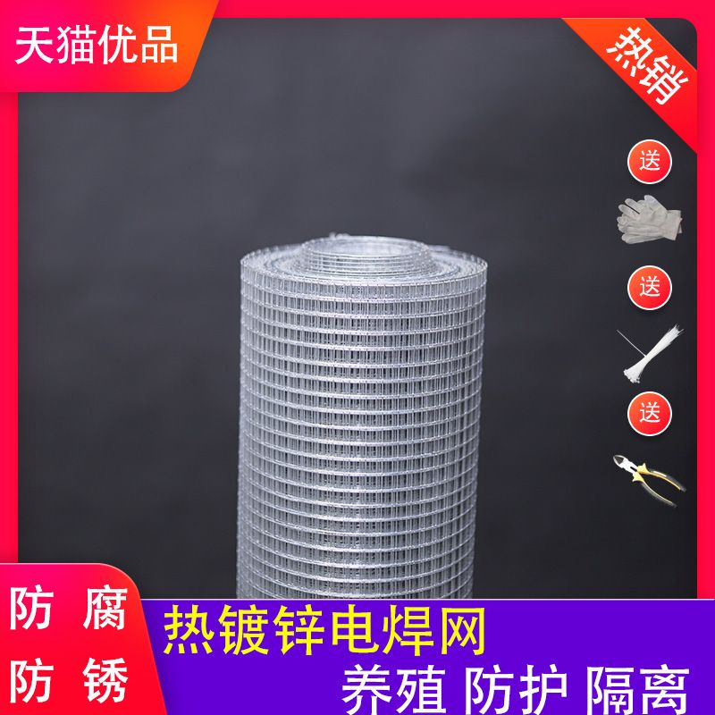 小孔热镀锌电焊网镀锌铁丝网电焊网片G养殖网钢丝防护栏家用防鼠