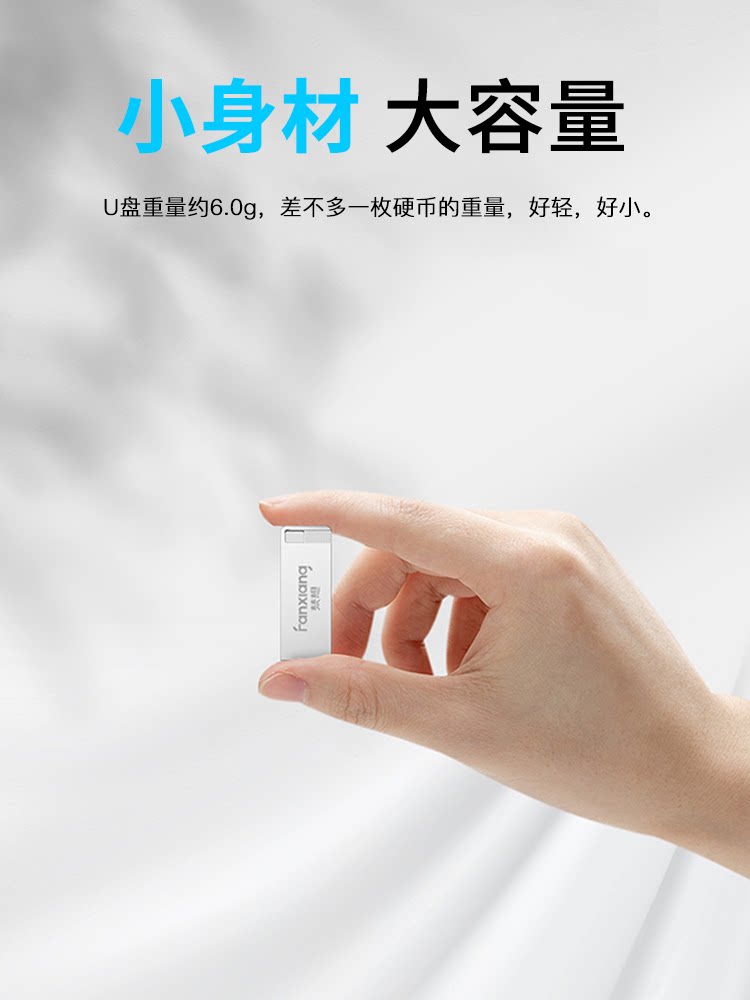 FANXIANG 금속 USB 플래시 드라이브 작은 32G 개인 사용자 정의 로고 조각  자동차 선물 학생 컴퓨터 미니 USB 플래시 드라이브