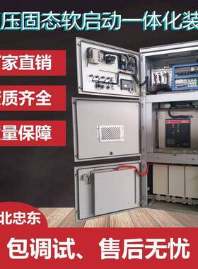 一体化高压软启动柜ZDGR泵站排涝***起动装置 湖北忠东