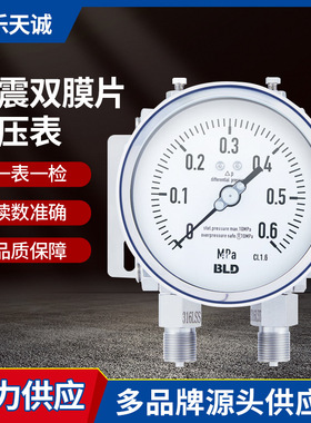 布莱迪耐震双膜片差压表YCAN-150 0～16kPa2.5级M20X1.5径向表