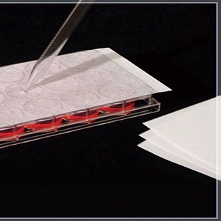 巴罗克AeraSeal封板膜 人造纤维丝 82.6 x 142.9 mm 透气 可刺穿