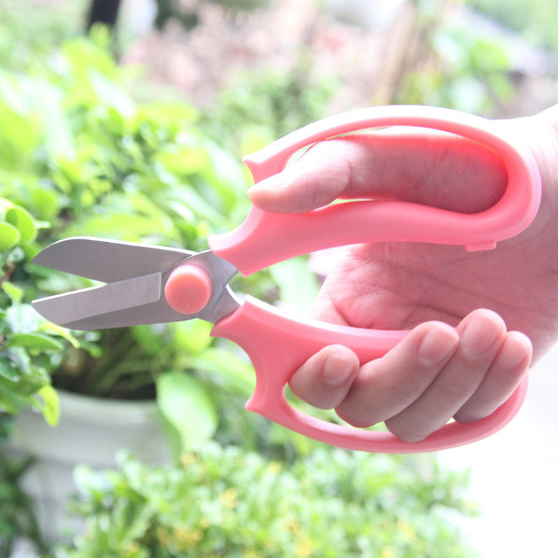 园艺工具花枝剪刀 宽头插花修枝剪 花剪不锈钢果枝剪尖头盆栽修剪,搬运/仓储/物流设备,机械式停车设备（立体停车库）,淘宝优惠券,粉丝福利购,淘宝优惠卷