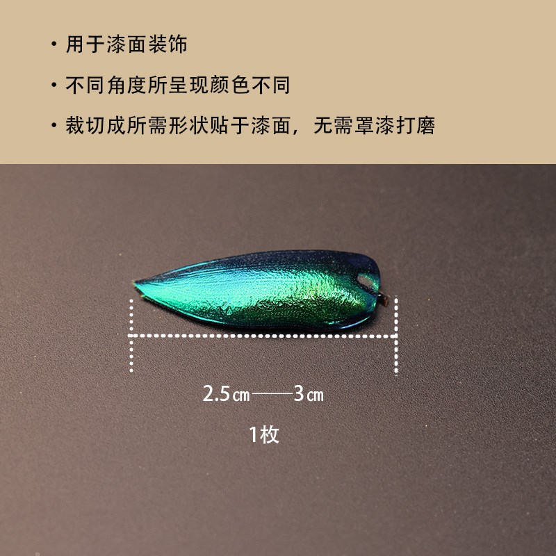 玉虫翅吉丁虫鞘翅金属色泽大漆漆艺漆器漆画V镶嵌装饰材料