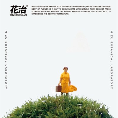 花治自然的礼物Natural Dessert苔藓景观植物礼品 植物学家的礼物