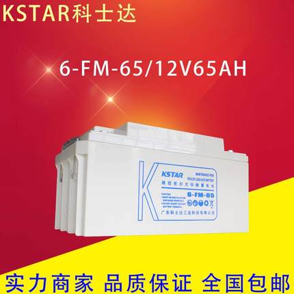 蓄电池12V65AH 6-FM-65 UPS EPS直流屏通讯免维护铅酸电池