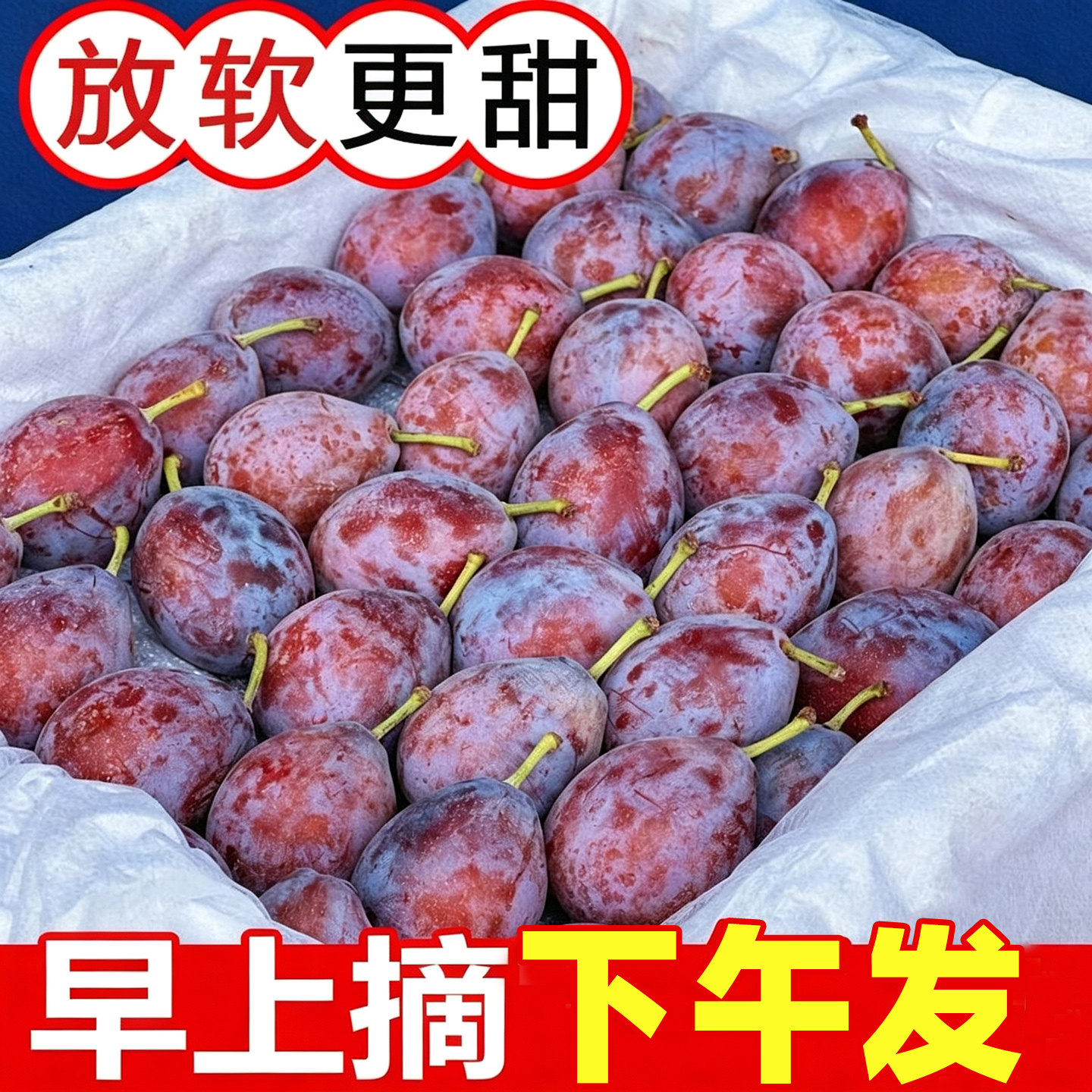 西梅鲜果新鲜现摘四川甜