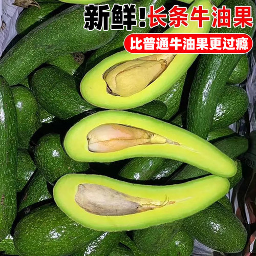 【罕见的水果推荐】长条牛油果