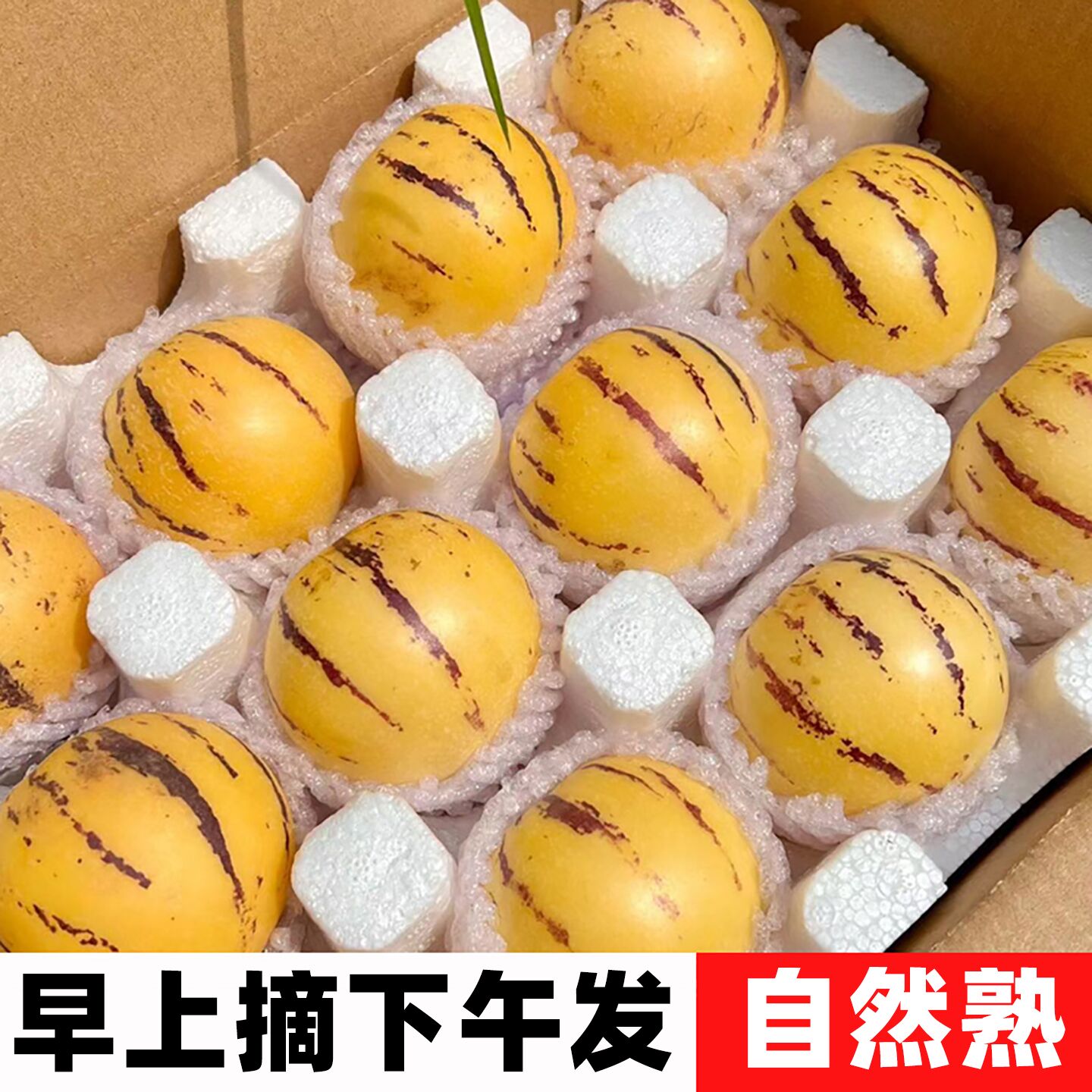 人参果新鲜云南石林现摘圆果