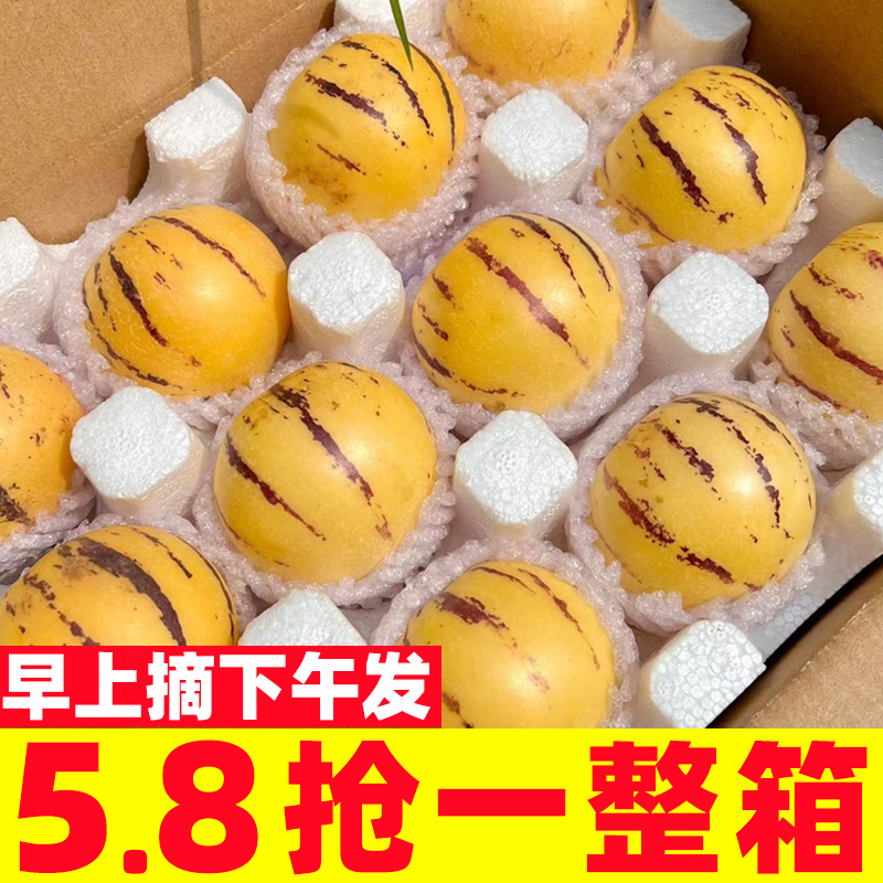 现摘云南石林人参果5斤圆果当季新鲜孕妇水果黄肉人生果整箱包邮