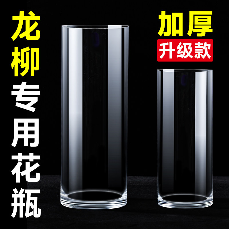 速发龙柳花水摆件客厅插花玻璃透明高天竹花瓶瓶培绿植水培南级感