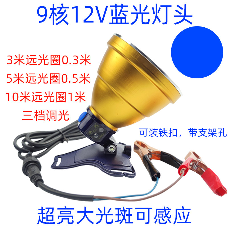 速发12V伏蓝光灯接夹头瓶灯电钓鱼外感应夜钓头灯超亮核强光白光